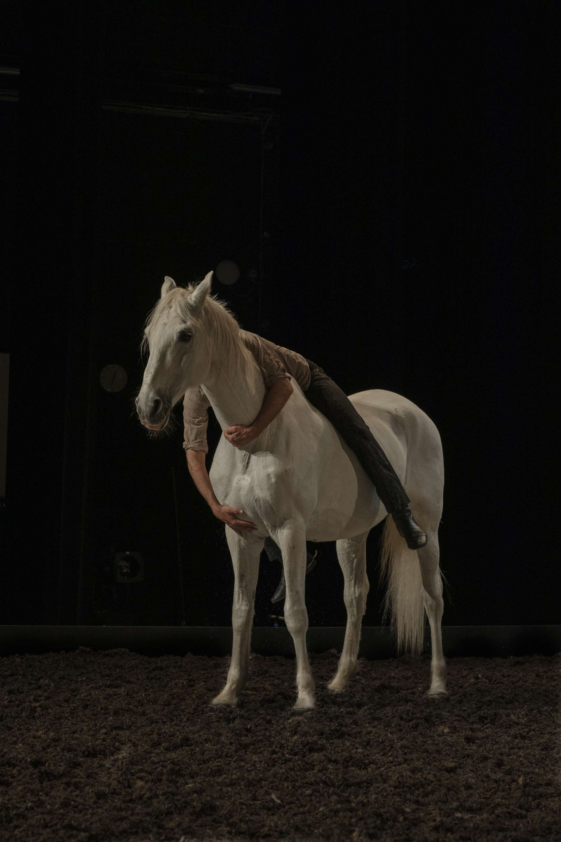 Le comédien Bertrand Bossard accrochant l'encolure d'Akira, son cheval