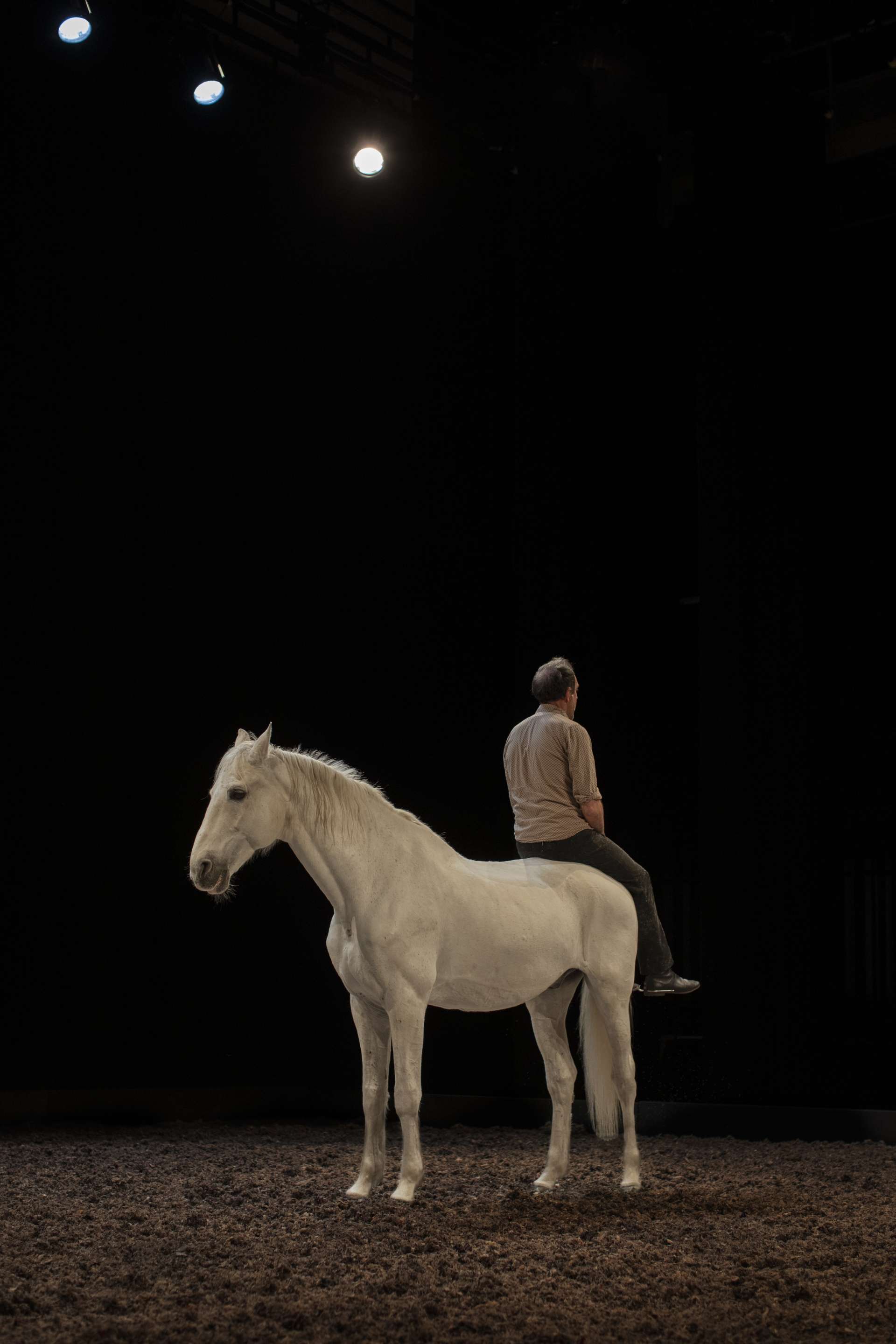Le comédien Bertrand Bossard assis de dos sur Akira, son cheval